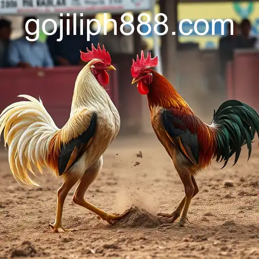 Exploring the Growing Phenomenon of Online Sabong on JILIPH888